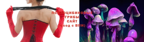 индика Киренск